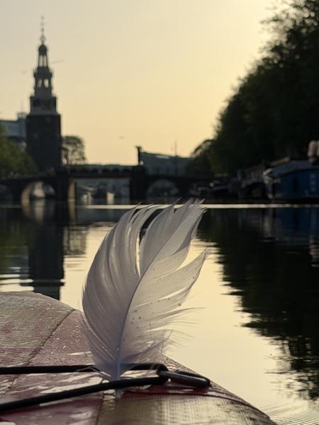 A delicate white feather rests on the edge of a boat, gently illuminated by the golden hour light reflecting on the water